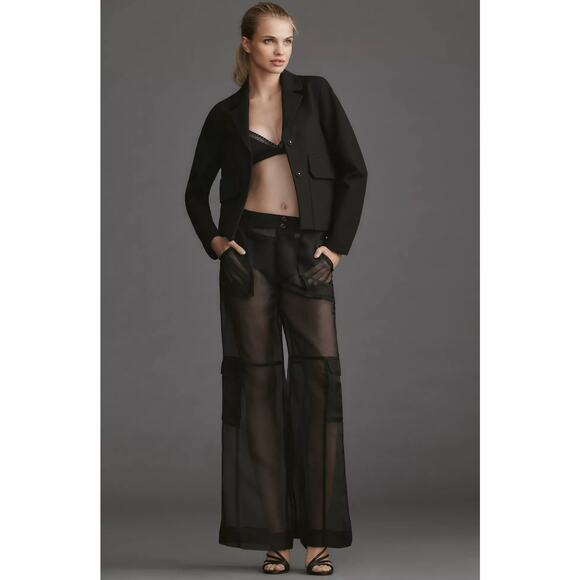 Anthropologie Pants - Anthropologie Black Sheer Wide-Leg Pants